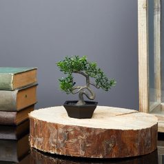 Műnövény dekoráció - bonsai - 10 x 13 cm