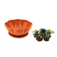 Cserép+Alátét Floare 20cm (10/#)