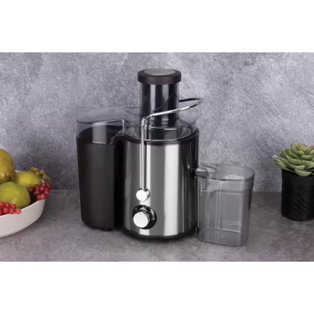 Berlinger Haus Gyümölcsfacsaró Gép BH-9487 Black Silver