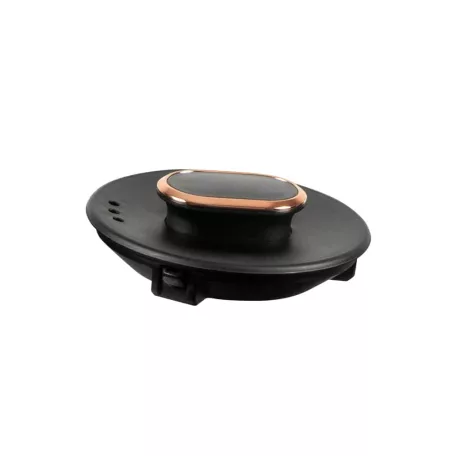 Berlinger Haus Elektromos Vízforraló 1 L BH-9478 Black Rose 