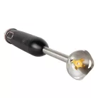 Berlinger Haus Botmixer BH-9611 Black Rose