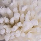 Felmosó Pótfej Viszkóz 180 Gr 002142