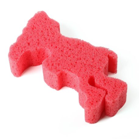 Gyermekszivacs Formázott 021037 