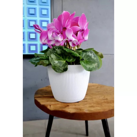 Virágtartó Kaspó Magnolia Jumper 22 Cm 754 