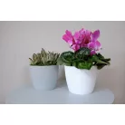 Virágtartó Kaspó Magnolia Jumper 22 Cm 754 
