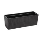 Balkonláda Rattan Hatású 56 Cm Begonia 625