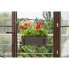 Balkonláda Rattan Hatású 56 Cm Begonia 625