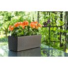Balkonláda Rattan Hatású 56 Cm Begonia 625