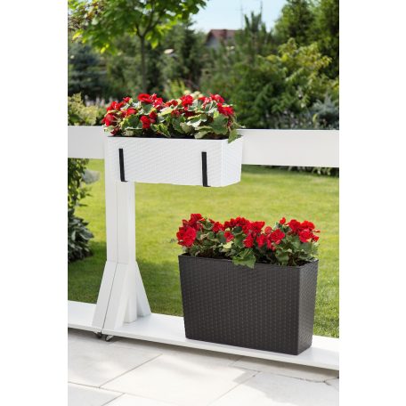 Balkonláda Rattan Hatású 56 Cm Begonia 625