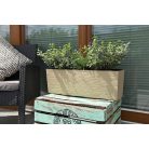 Balkonláda 56 Cm Begonia 627