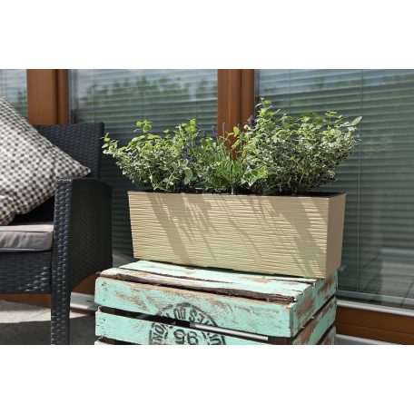 Balkonláda 56 Cm Begonia 627