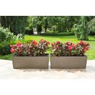 Balkonláda 56 Cm Begonia 627