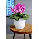 Virágtartó Kaspó Magnolia Jumper 16 Cm 752 