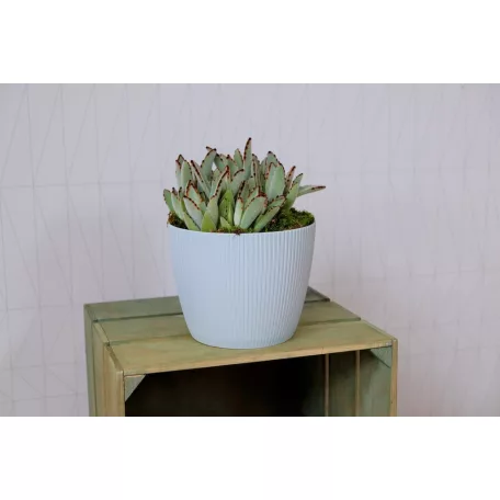 Virágtartó Kaspó Magnolia Jumper 16 Cm 752 