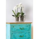 Orchidea Kaspó Luna 35x15 cm 633