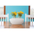 Orchidea Kaspó Luna 35x15 cm 633