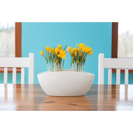 Orchidea Kaspó Luna 35x15 cm 633