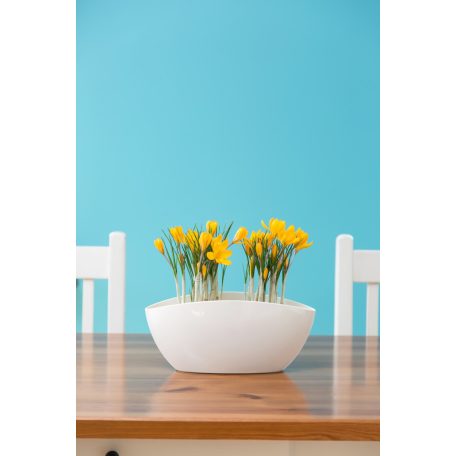 Orchidea Kaspó Luna 35x15 cm 633