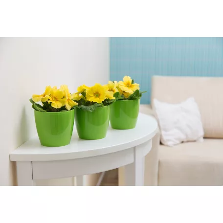 Virágtartó Kaspó Magnolia 21 cm 204