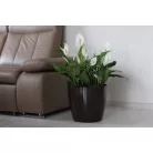 Virágtartó Kaspó Magnolia 21 cm 204