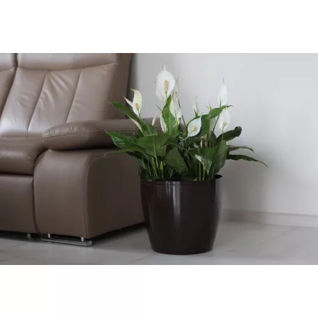 Virágtartó Kaspó Magnolia 21 cm 204