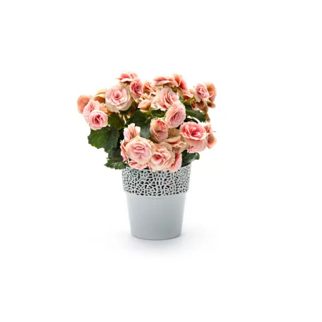 Virágtartó Kaspó Rosa 14,5 cm 657
