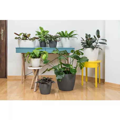 Virágtartó Kaspó Magnolia Jersey 19 cm 733