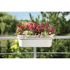 Balkonláda Csipkemintás Rosa 50 Cm 700 