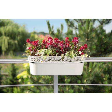 Balkonláda Csipkemintás Rosa 50 Cm 700 