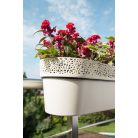 Balkonláda Csipkemintás Rosa 50 Cm 700 