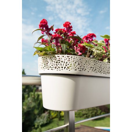 Balkonláda Csipkemintás Rosa 50 Cm 700 