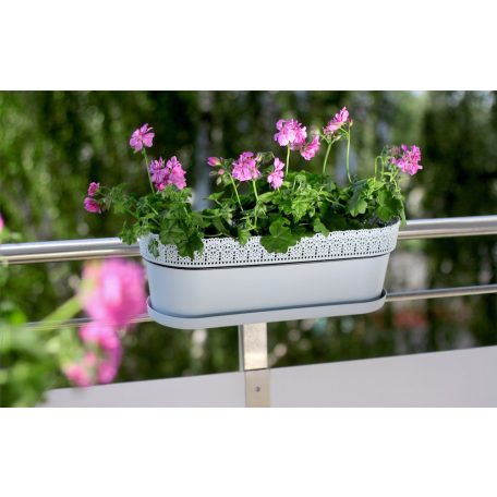 Balkonláda Csipkemintás Rosa 50 Cm 700 