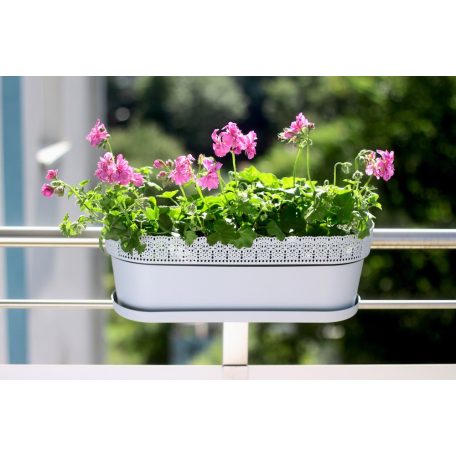 Balkonláda Csipkemintás Rosa 50 Cm 700 