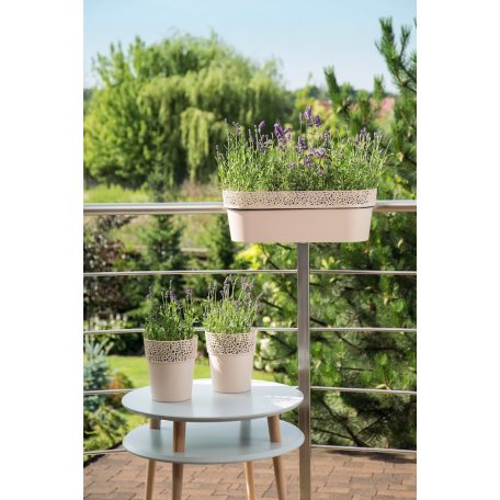 Balkonláda Csipkemintás Rosa 50 Cm 700 