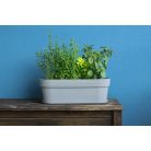 Virágláda 50 Cm Magnolia Jersey 780 