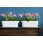 Virágláda 50 Cm Magnolia Jersey 780 