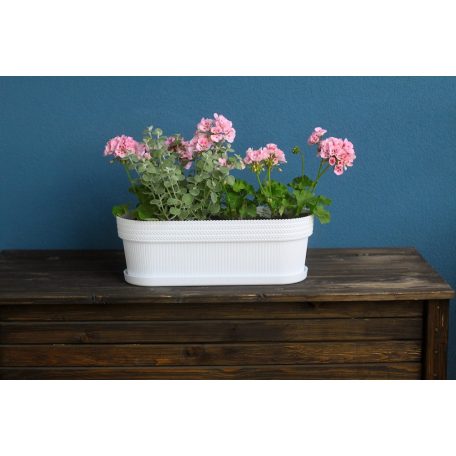 Virágláda 50 Cm Magnolia Jersey 780 