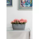 Virágláda 38 Cm Magnolia Jersey 782 