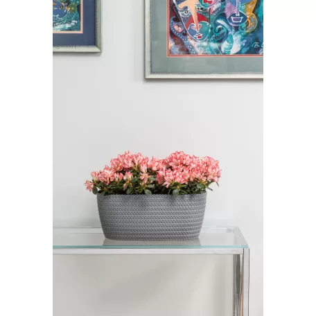 Virágláda 38 Cm Magnolia Jersey 782 