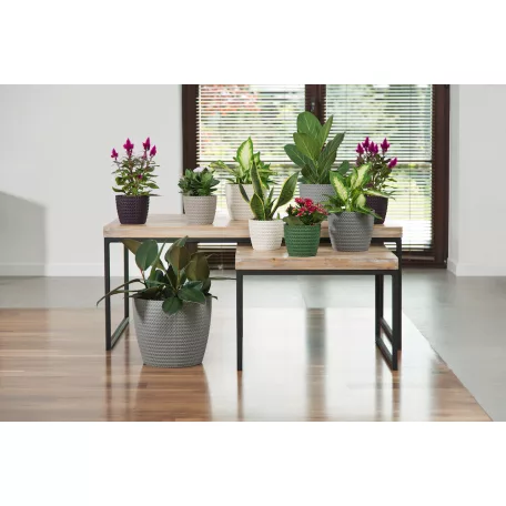 Virágtartó Kaspó Magnolia Jersey 16 cm 732