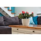 Virágtartó Kaspó Magnolia Jersey 22 cm 734