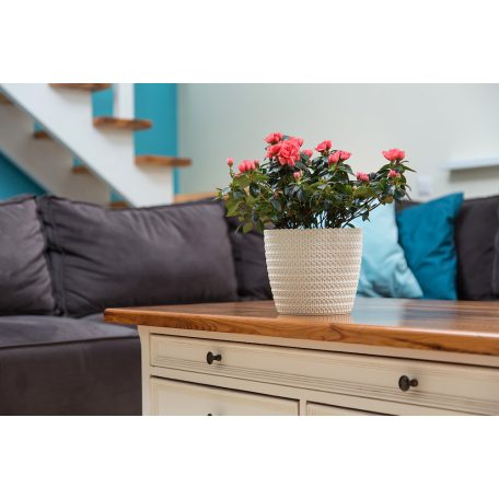 Virágtartó Kaspó Magnolia Jersey 22 cm 734