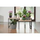 Virágtartó Kaspó Magnolia Jersey 22 cm 734