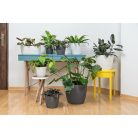 Virágtartó Kaspó Magnolia Jersey 22 cm 734