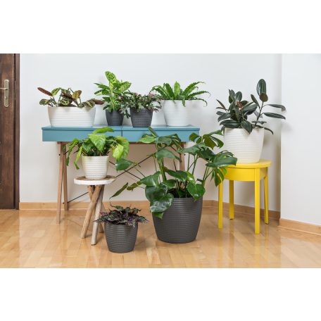 Virágtartó Kaspó Magnolia Jersey 22 cm 734