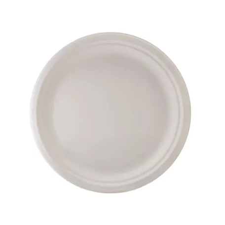 Egyszerhasználatos papír lapostányér (cukornád) 22 cm 50 db-os