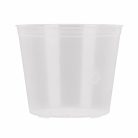 Orchidea Cserép 20 Cm