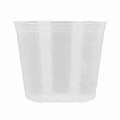 Orchidea Cserép 20 Cm