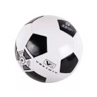 Focilabda Olympic Pvc