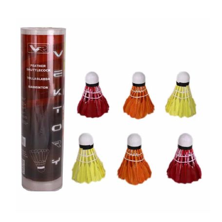 Tollaslabda 6 db-os Színes toll 730138